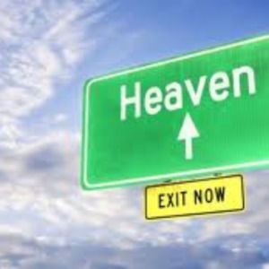 Meet your Posher, Yolanda